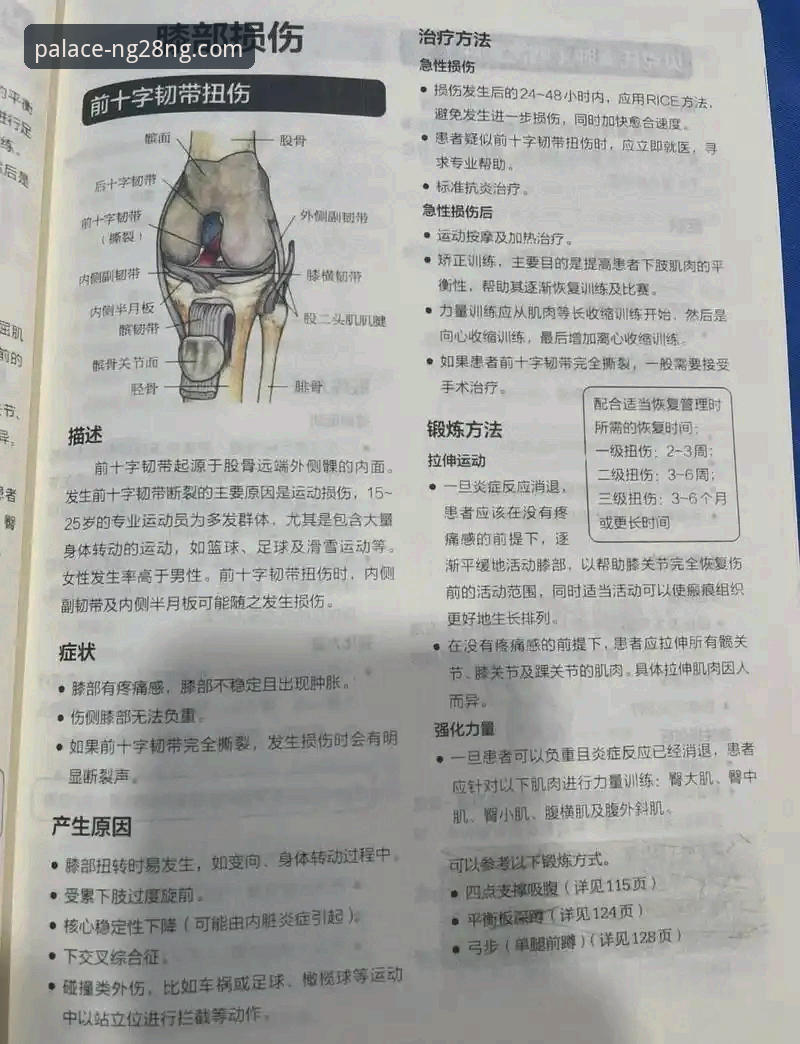 瑞典中场贝里瓦尔世预赛生死战康复历程完整指南：从韧带手术到世界杯梦想的实战经验